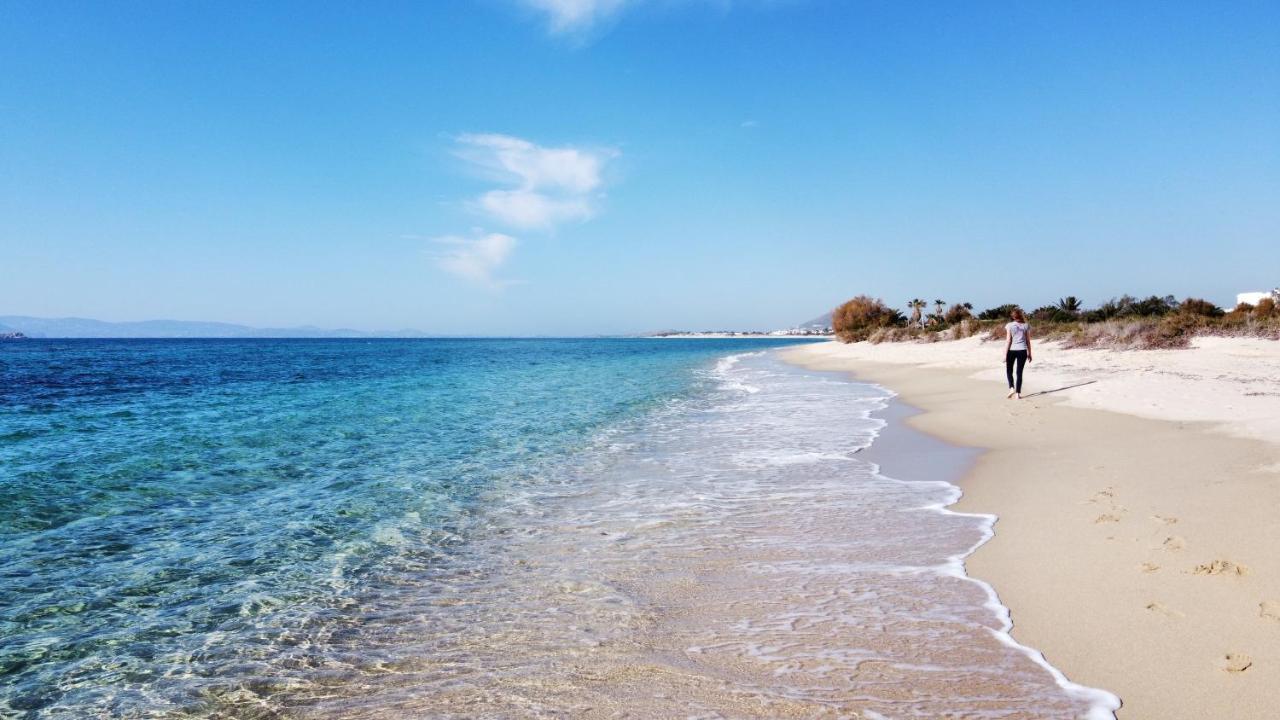 Studios Vrettos Beachfront Hotel Pláka エクステリア 写真
